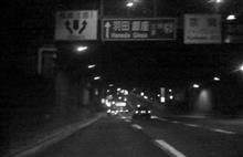 土曜の夜は・・・・