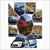 紅葉、見に行こうよう♫