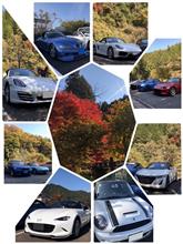 紅葉、見に行こうよう♫