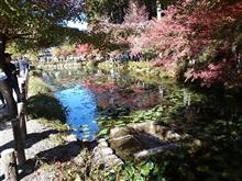 岐阜県(モネの池) 岐阜県(モネの池)