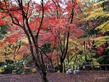 洞光寺で紅葉狩り
