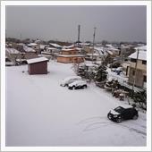 雪が積もってます