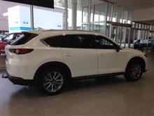 go go SUV? go go SUV?