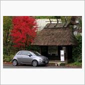 2017　紅葉狩りドライブ