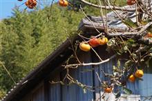クマーと行く四国旅行記 2 クマーと行く四国旅行記 2