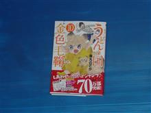 うどんの国の金色毛鞠　10巻