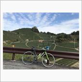 ロードバイクで万灯呂山を征す ...