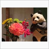 11月22日　今日は帰宅途中 ...