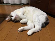 永眠