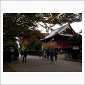 芸術の秋　　上野