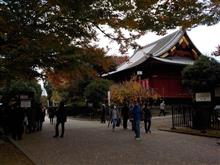 芸術の秋　　上野