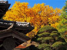 柿坂本家＠天川村