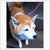 イルマニア侵攻作戦