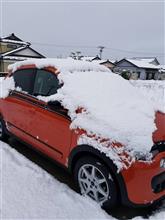今晩、東京に帰る予定