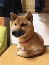 みんカラ:モニターキャンペーン【オリジナル車種別専用設計フロアマット】 みんカラ:モニターキャンペーン【オリジナル車種別専用設計フロアマット】
