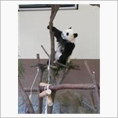 直さなきゃ