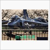 2017年11月15日(水) ...