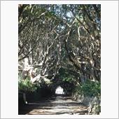 酒列磯前神社・鎌倉　極貧グリ ...