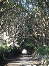 酒列磯前神社・鎌倉　極貧グリーン車の旅（最終日・その１）