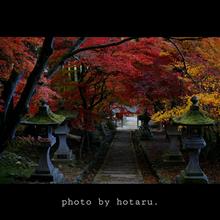 清水寺の紅葉 2017