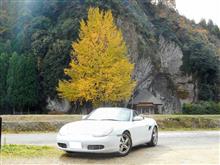 岩根寺の黄葉が見頃を迎える