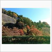 紅葉へ