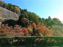 紅葉へ