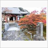 徳川家の菩提寺で紅葉狩りして ...