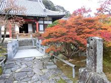 徳川家の菩提寺で紅葉狩りして来ました