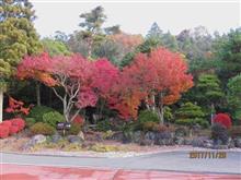 錦秋の城山ゴルフ倶楽部。天気と紅葉は良かった。