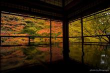 2017秋景色 京都 瑠璃光院 2017秋景色 京都 瑠璃光院