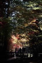 小國神社