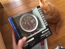 準備中。