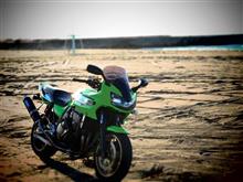 バイクのバンパーとは、よく言ったものだ　(〃^ - ^〃)♪