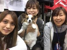 ホイールの撮影【トライアル発】 ホイールの撮影【トライアル発】