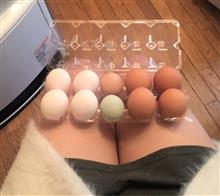 愛をはぐくむ! 愛をはぐくむ!