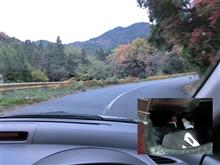 今日もいつものお山で(^^♪