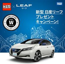 もしかしたらリーフが当たるかも！？