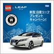 もしかしたらリーフが当たるかも！？