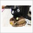 猫グッズ(*&#180;ω`*)