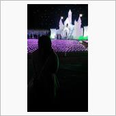 姫はイルミを見てきたのだ♪