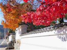 秋の京都 2017 ②