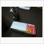 届きました～！！v(｡･･｡ ...