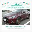 納車から丁度1年経ったようです