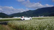 ﾌｨｴｽﾀで行く福井一周ﾄﾞﾗｲﾌﾞ2015 二日目～歴史探訪編～