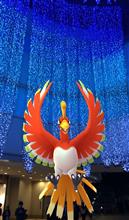 鳳凰！