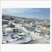 出張続き