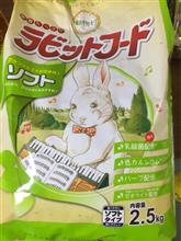 うさぎ