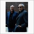 Steely Dan