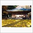 大分国東半島、紅葉巡り・・①富貴寺